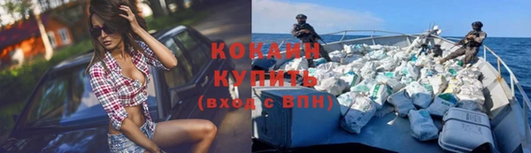 твердый Горняк
