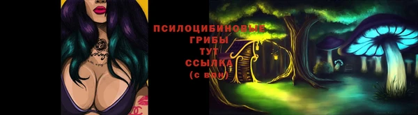 скорость Гусев
