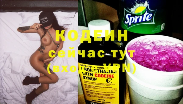скорость Гусев