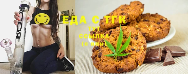 твердый Горняк