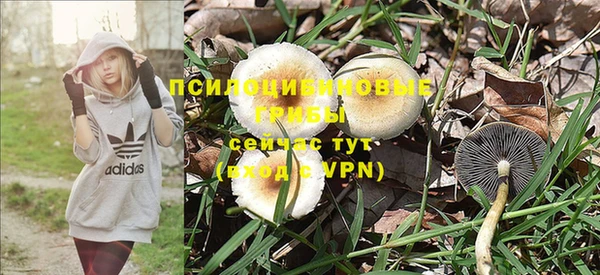 mix Гусь-Хрустальный